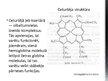 Prezentācija 'Olbaltumvielu uzbūve', 8.