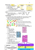 Konspekts 'Anatomy', 6.