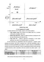 Referāts 'Uzņēmējdarbības stratēģija', 14.