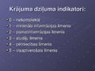 Prezentācija 'Bibliotēku krājumu komplektēšana', 14.