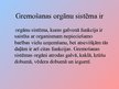 Prezentācija 'Gremošanas orgānu sistēma un tās slimības', 2.