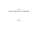 Referāts 'Intervija ar žurnālistu par tēmu - žurnālista īpašības', 1.