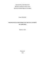 Diplomdarbs 'Profesionālās identifikācijas process jauniešu vecumposmā', 12.