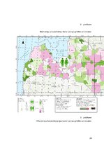 Referāts 'Elektromobiļu tīkla “e – mobilis” izveide CO2 emisiju apjomu samazināšanai no au', 24.