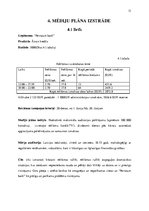 Referāts '"Feratum bank" ātrā kredīta mediju plāns televīzijas kanālā "TV3"', 13.