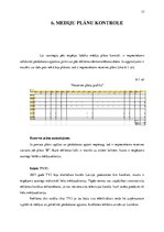 Referāts '"Feratum bank" ātrā kredīta mediju plāns televīzijas kanālā "TV3"', 17.