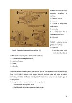 Referāts 'Sienu elementi (ailstarpas, puskolonnas, pilastri, kontrforsi, nišas, dzegas, po', 19.